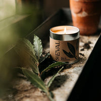 Bay & Rosemary Tin Candle - St Eval