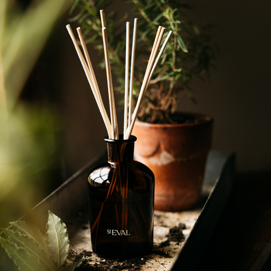 Bay & Rosemary Reed Diffuser - St Eval