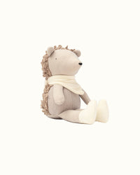 Poppet The Baby Hedgehog - Mr Pickles
